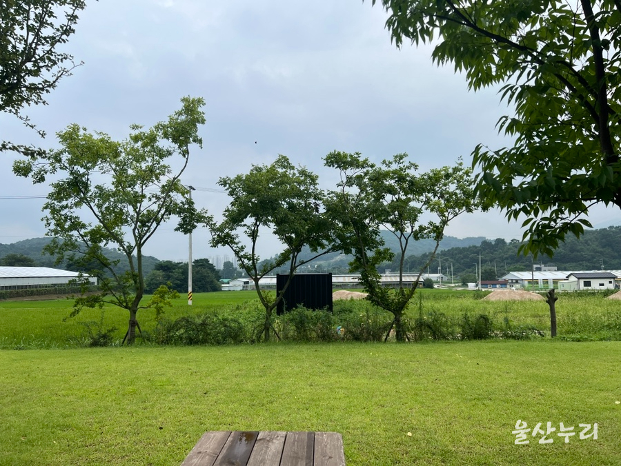 숲속의작은친구들 울산곤충생태전시관 사진 3