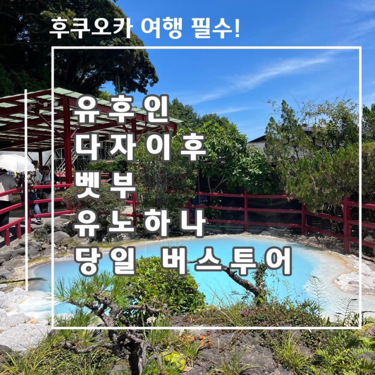  [후쿠오카 여행 필수코스]유후인, 다자이후, 벳부, 유노하나 당일 버스투어 / 소소투어 이용후기