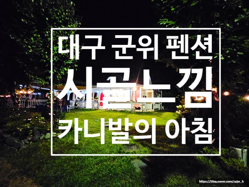 사진 5