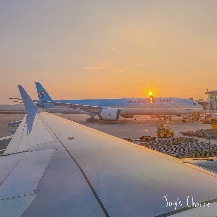  A321neo 대한항공 하노이에서 인천 이코노미 좌석 기내식 이용후기