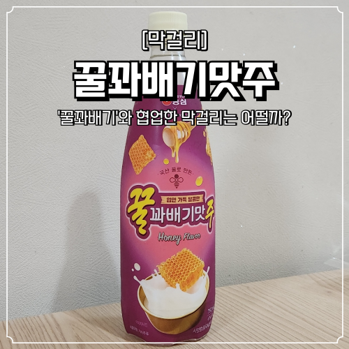  꿀꽈배기 막걸리 내돈내산 후기 파는곳 및 가격은