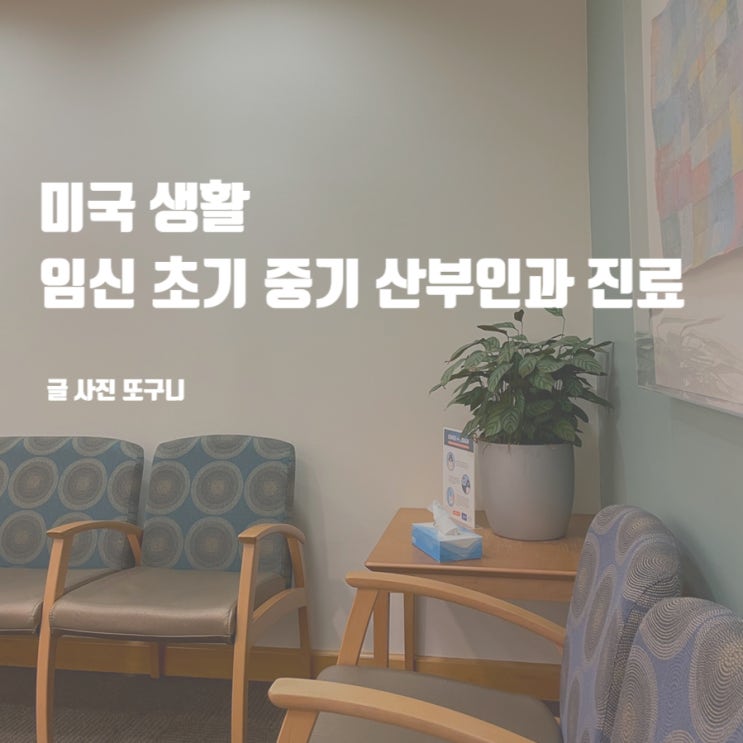  미국 생활 : 임신 초기 중기 산부인과 진료 및 초음파 검사 후기