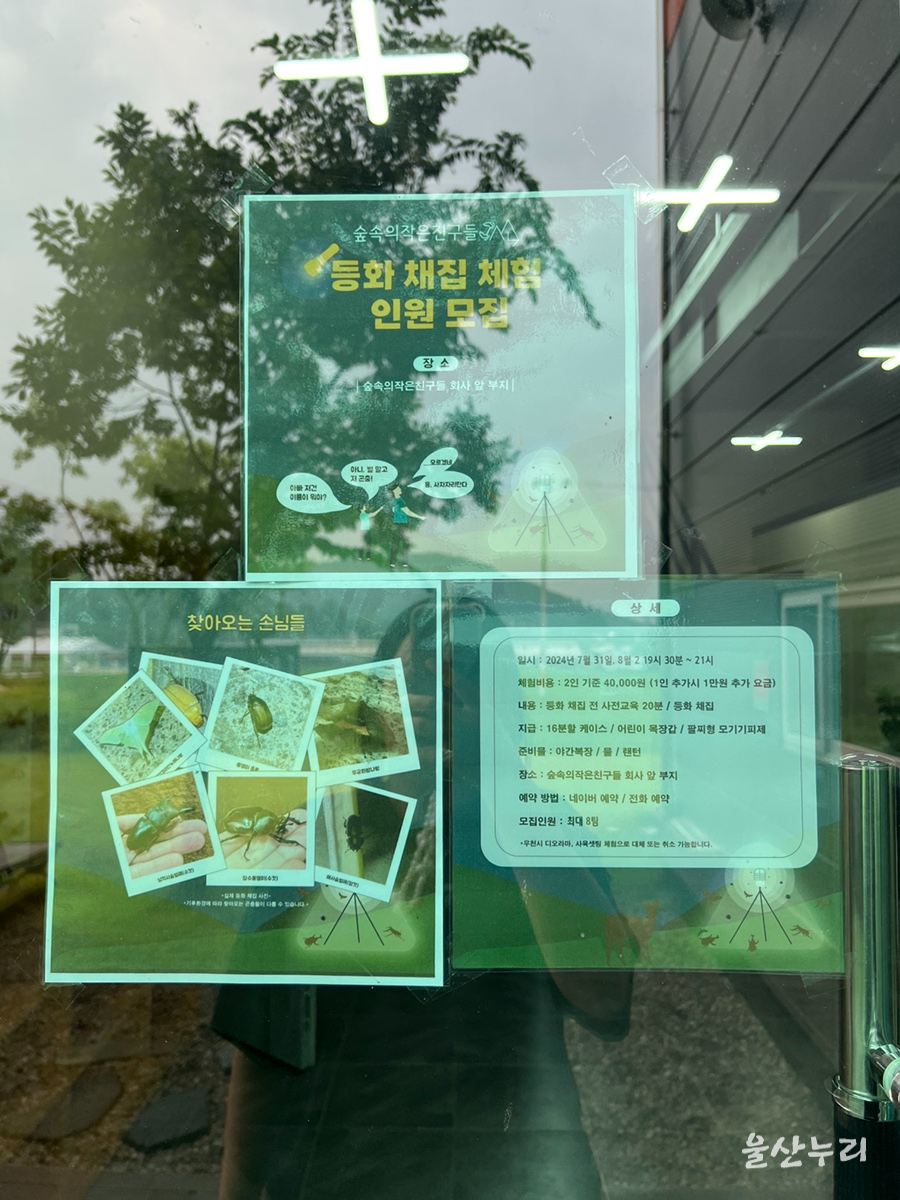 숲속의작은친구들 울산곤충생태전시관 사진 4