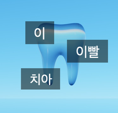  치아 vs 이 vs 이빨 - 무슨 차이고 어떻게 사용해야 할까? 올바른 치과 용어