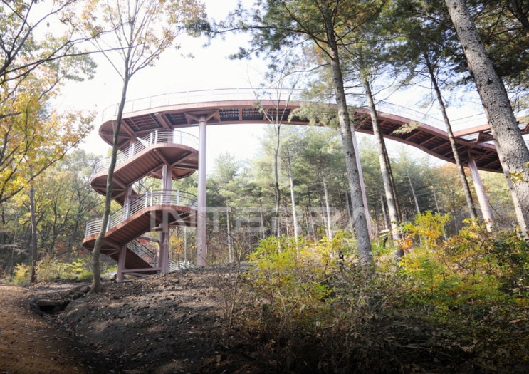  성주산숲하늘길 전망대 스카이워크 인도교 보행교 지주식인도교 경관디자인 경관설계 경관보도교 경관육교 경관인도교 특허공법 교량가설 교량제작설치