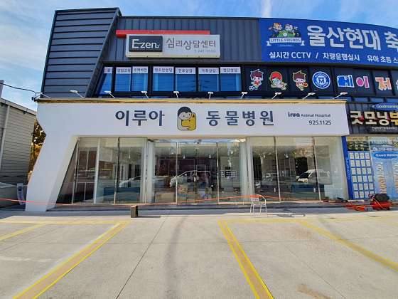 이루아동물병원 사진 1