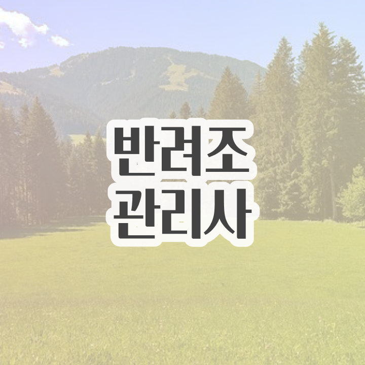  코뉴어 앵무새 분양 , 반려조관리사 자격증 간단하게 취득한 과정 핵심 정보