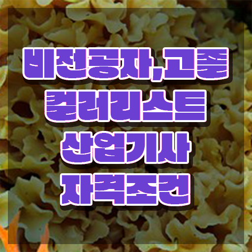  컬러리스트산업기사 시험 자격 컬러리스트산업기사 자격요건 집에서 온라인으로 간단하게 완료한 팁