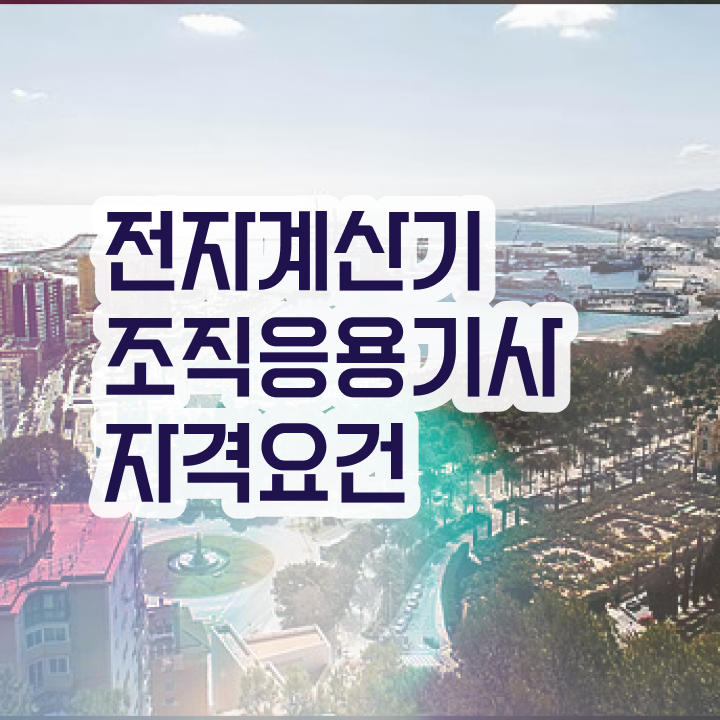  전자계산기조직응용기사 필기공부 전자계산기조직응용기사 시험응시자격 인강만 듣고 1학기 만에 준비한 노하우