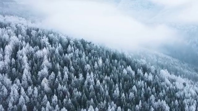  수산물품질관리원 자격증 , 취득 정보