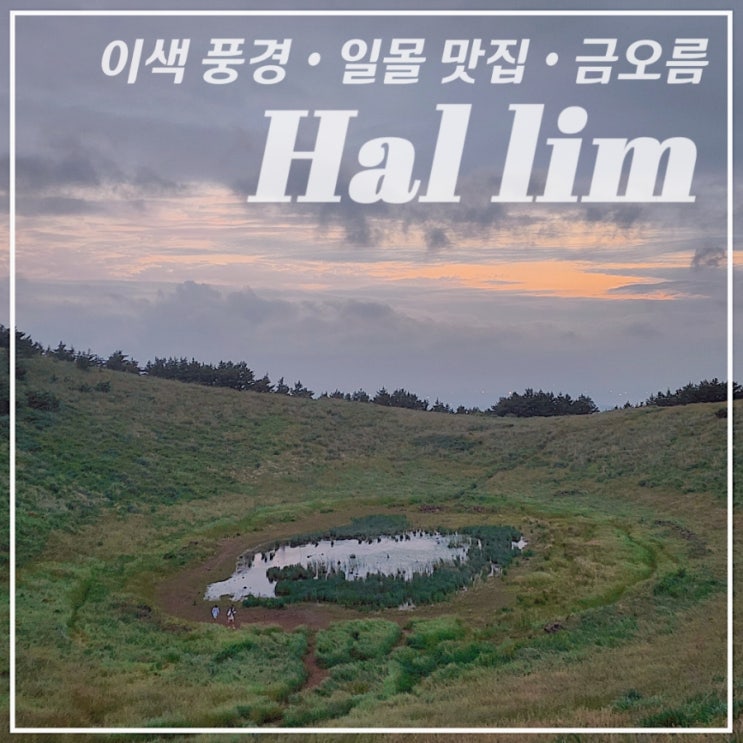  [서쪽/한림/오름] 소요시간 20만에 이색적인 풍경 •금오름(금악오름)• 일몰 명소, 갈대 맛집 추천, 주차장/코스 안내