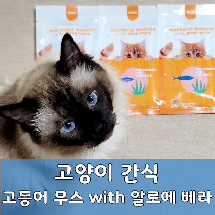  양질의 타우린이 함유된 고양이 면역력 강화 고등어 츄르 리뷰