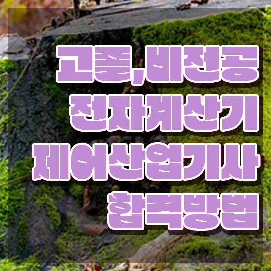  전자계산기제어산업기사 시험자격 온라인 과정으로 편하게 준비한 전략