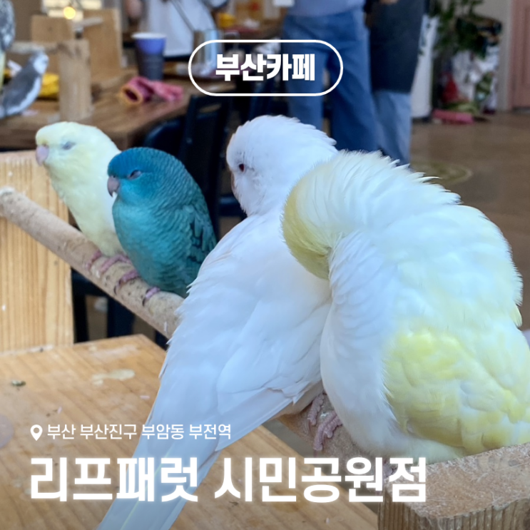  서면 앵무새 카페 리프패럿 시민공원점, 부산시민공원 데이트코스로 추천