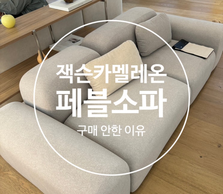  신혼 잭슨카멜레온 페블 소파 비추천한 이유 <무브먼트랩 의왕 >