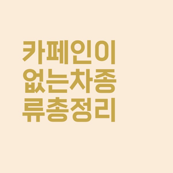  카페인 없는 차 종류 총정리 완결판