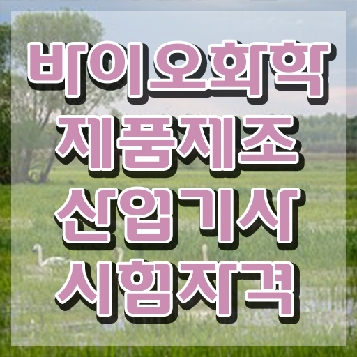  바이오화학제품제조산업기사 시험자격 집에서 온라인으로 4달만에 성공한 후기