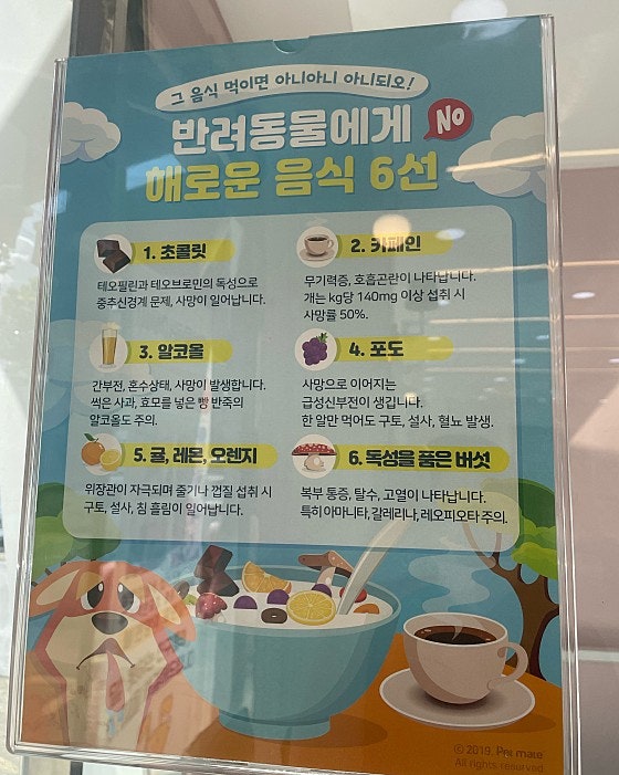 이루아동물병원 사진 4
