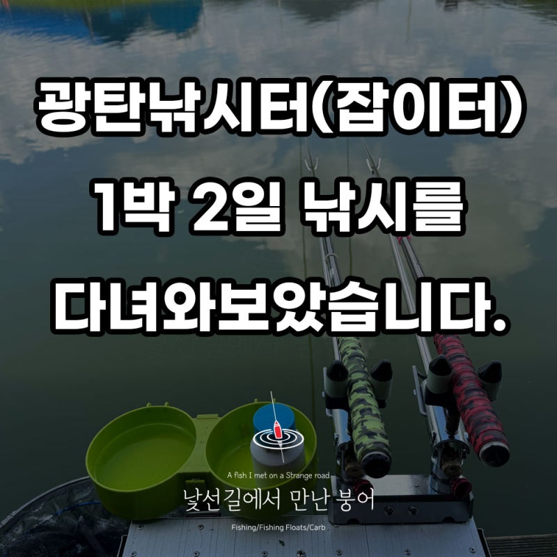 경기도 파주시 광탄낚시터로 여름 붕어낚시 다녀왔습니다.