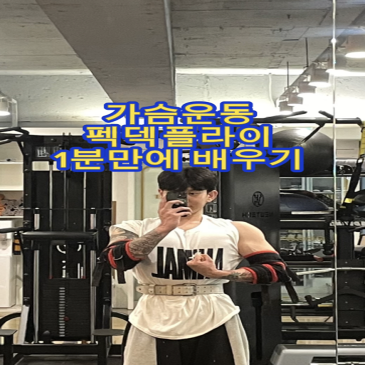  대연동 PT 초보자를 위한 펙덱플라이(Pec-Dec Fly) 운동법