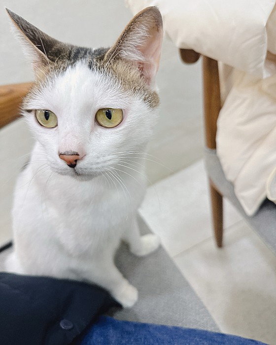 이루아동물병원 사진 5