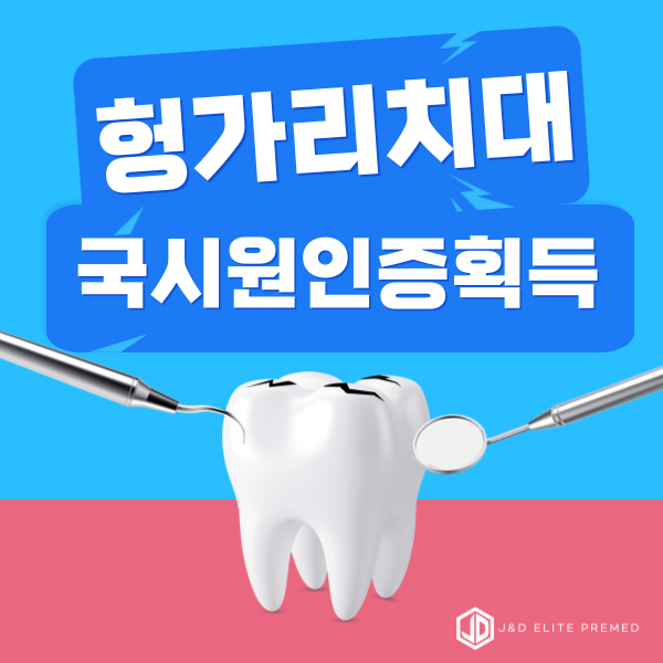  헝가리 치대 1편 : 드디어! 국시원 인증 획득 - 새로운 전환점