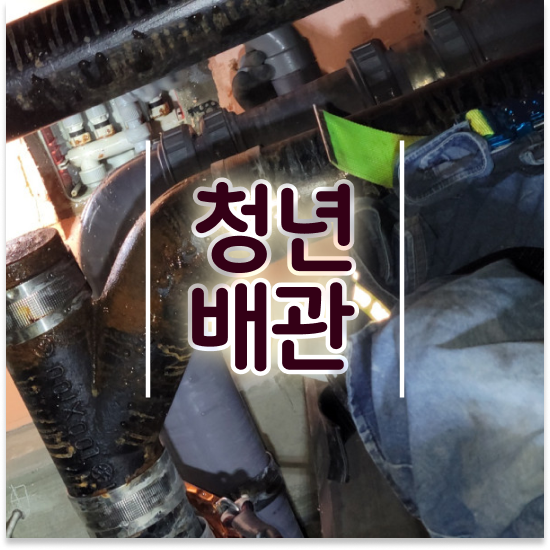  송파구 잠실6동 싱크대 하수구 막힘 똑똑한 주부의 선택