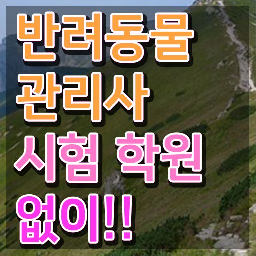  반려동물 자격증 수업 , 반려동물관리사 자격증 준비한 방법 확인해보세요