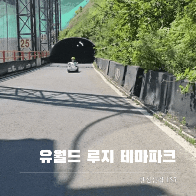  여수실내가볼만한곳 유월드 루지 테마파크 아이와 어른 모두 즐거운 곳
