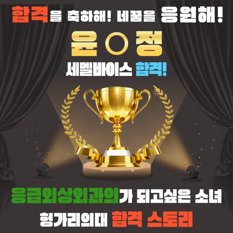  응급외상외과 의사가 되길 바라는 소녀 : 헝가리의대 합격 스토리