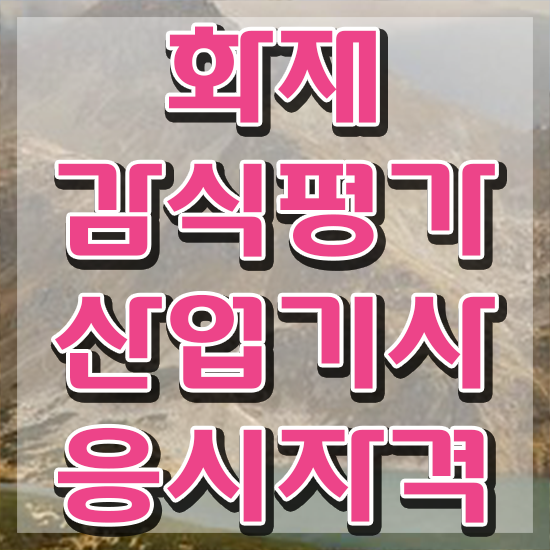  화재감식평가기사 전공 화재감식평가기사 자격요건 인강만 듣고 간편하게 성공한 팁