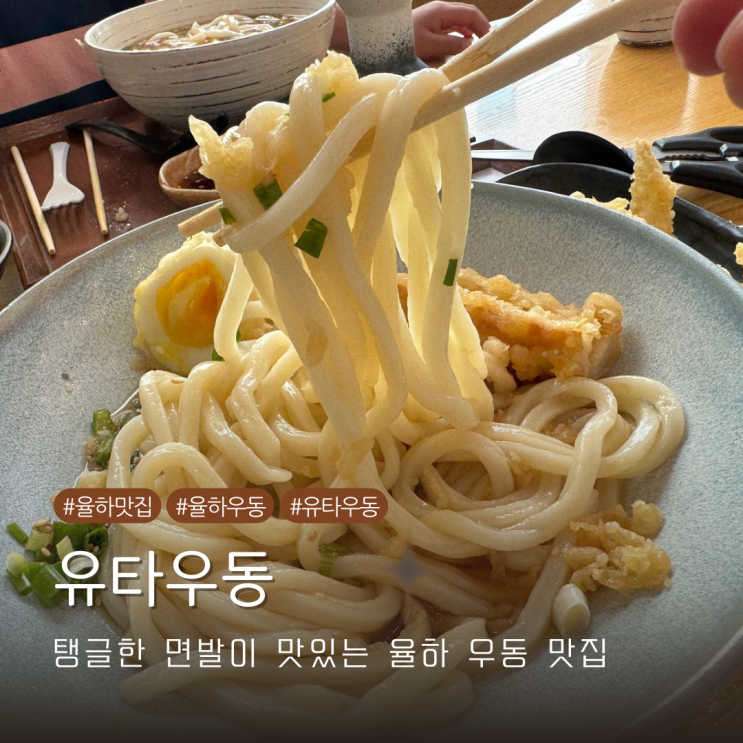  유타우동 김해 율하 탱글한 면발이 끝내주는 우동맛집 내돈내산 N회차 재방문기