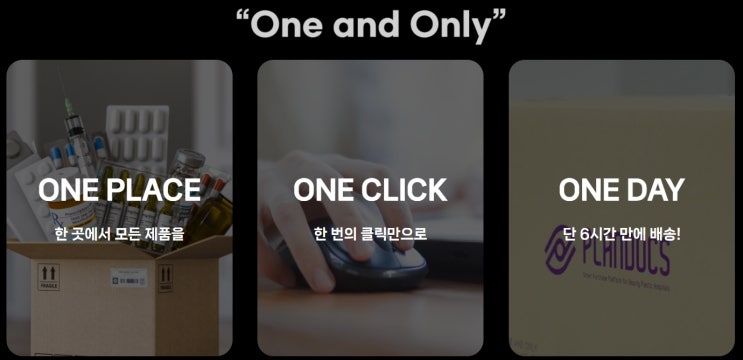  [소개] 미용성형 유통플랫폼기업 플랜닥스
