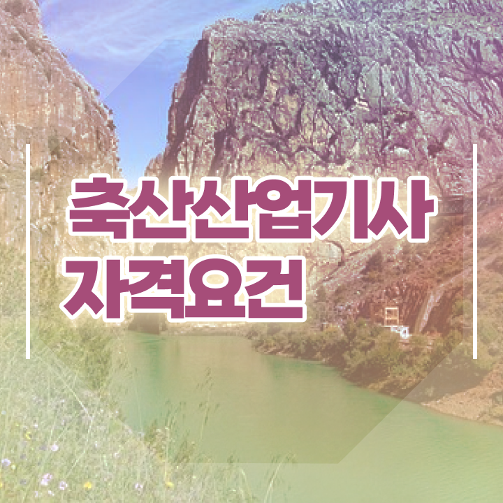  축산산업기사 축산산업기사 시험자격 학점은행제로 4개월 만에 성공한 비법