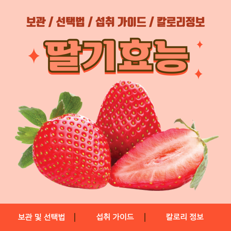  딸기의 놀라운 효능과 주의사항, 보관 및 선택법, 섭취 가이드 & 칼로리 정보