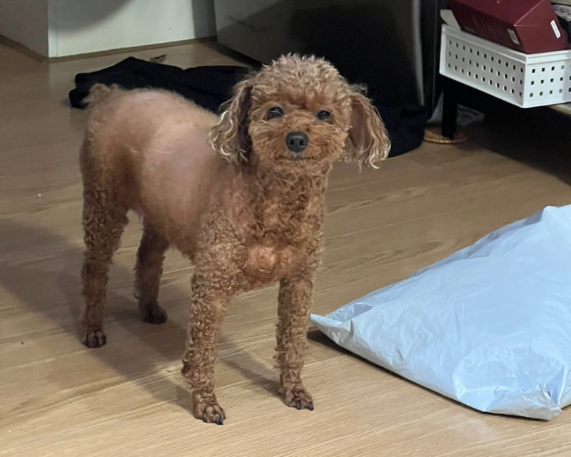 사진 7