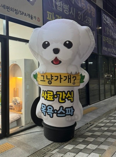 사진 3