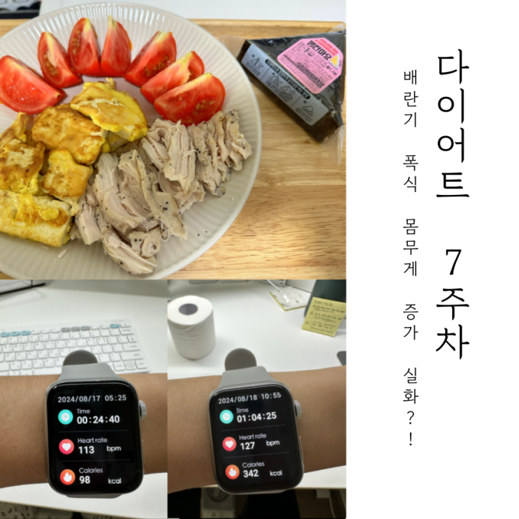  배란기 몸무게는 과연 얼마나 오를까? 운동은? : 다이어트 7주차