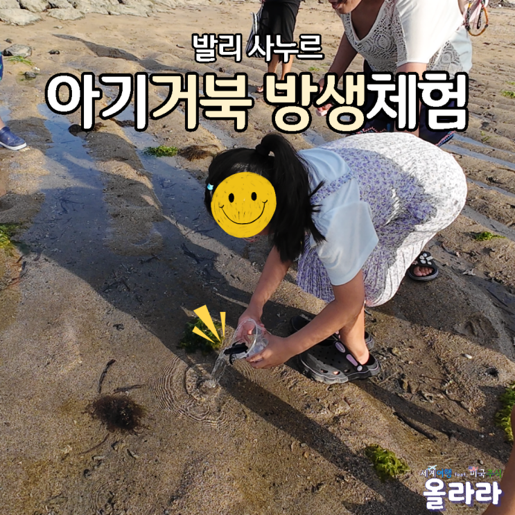  발리여행 사누르 거북이 방생 체험