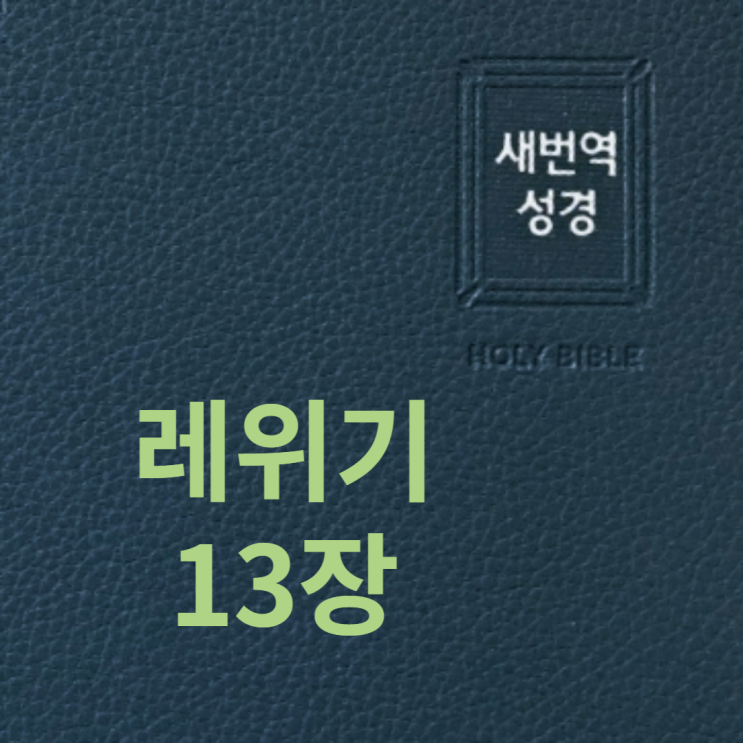 레위기 13장 레위기 13장