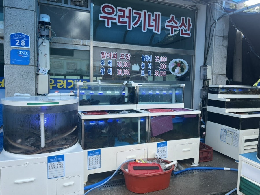 갓성비횟집 사진 2