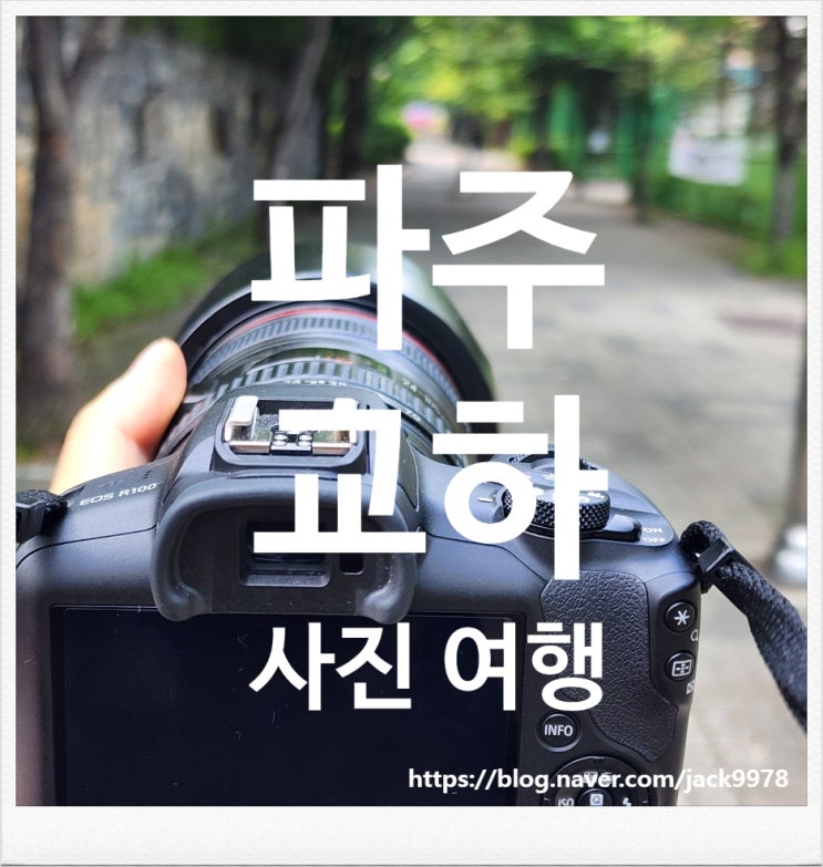  도심 속 힐링 스팟, 파주 교하 중앙공원 사진 여행기