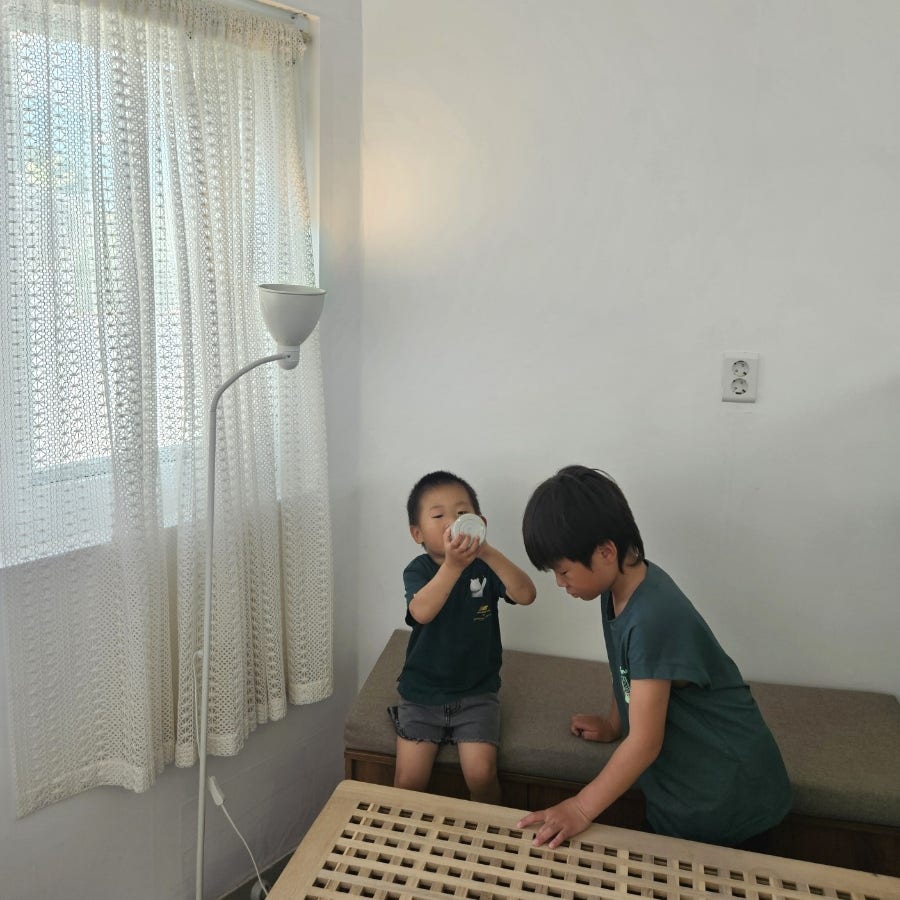 플루이 사진 2