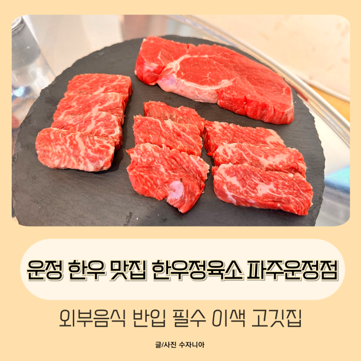  운정 한우 맛집 한우정육소 파주운정점 한우100g 9,900원