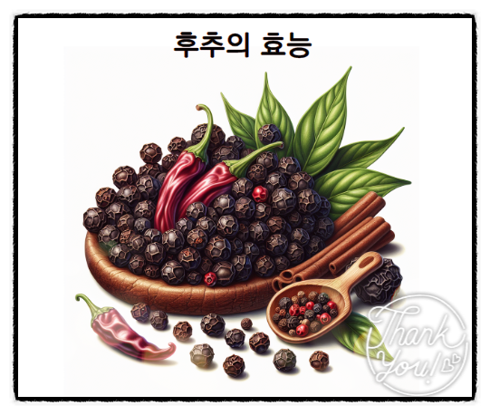  후추의 효능 주의할 점 후추 발암물질