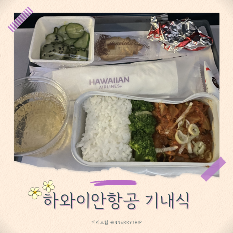  하와이안항공 기내식 좌석 수하물