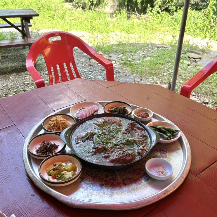  [가창 맛집] 대구 계곡 식당에서 몸보신 후기 백숙 맛집 "우록장식당"