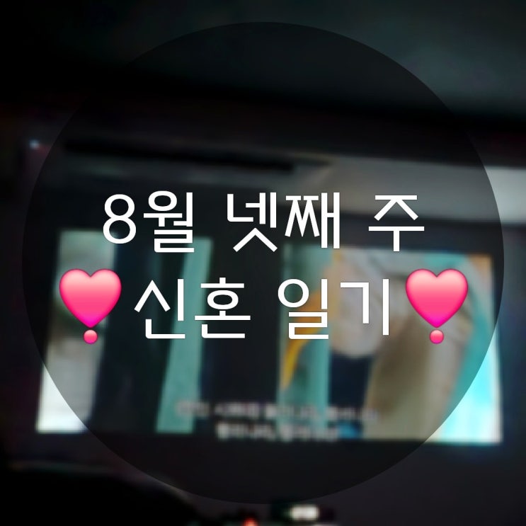  8월 넷째 주의 신혼 일상기록(방광염진료 가평루지 스피드존)