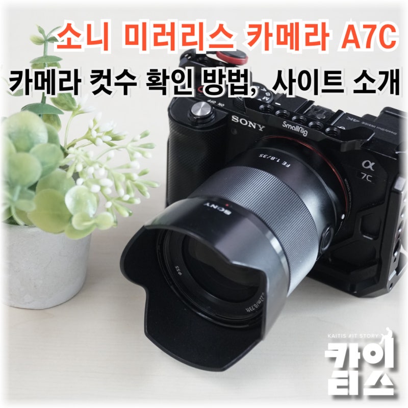 소니 카메라 컷수 확인 방법 ( 니콘, 캐논 셔터 카운트 보는 사이트 )