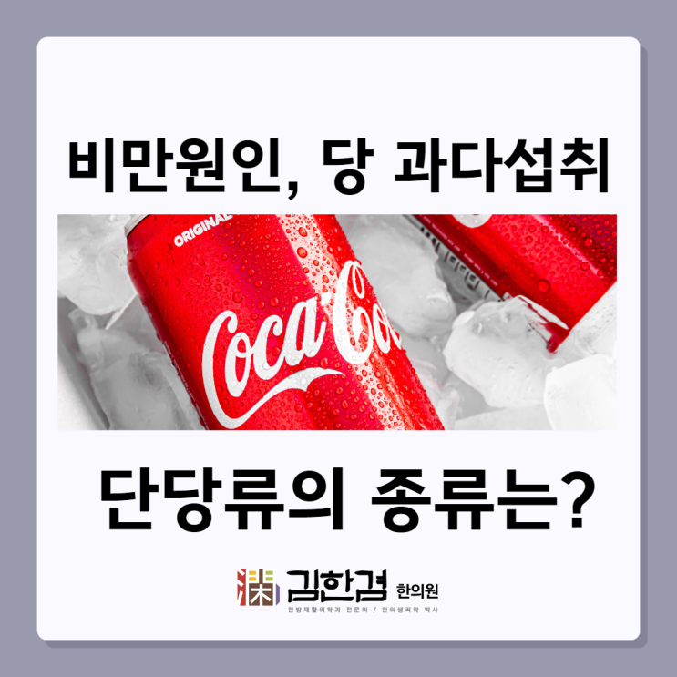  당 과다섭취는 살 찌는 원인, 단당류 음식 종류는?